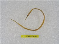 藏品(線尾鴨嘴鰻)的圖片